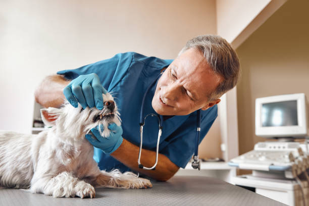 Best Emergency Tooth Extraction in Mckinney, TX